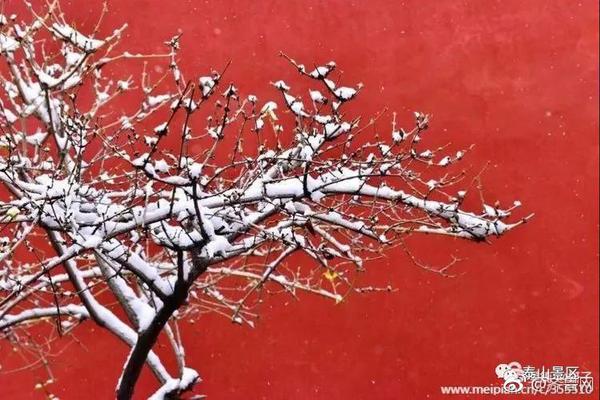 【51吃瓜网最新】菜地蚂蚁用什么药可以杀死