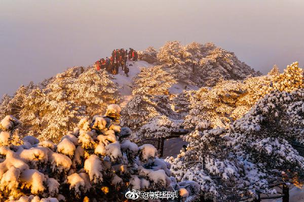【91吃瓜黑料网入口在线看免费】新春走底层丨厦门：万盏花灯点亮千年古城