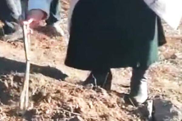 文远知行落地欧洲首个L4级自动驾驶小巴纯无人商业运营线路