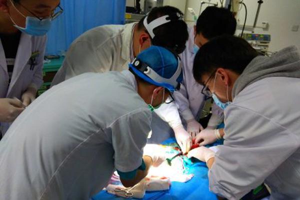 【吃瓜视频app官网下载苹果版】优惠券秒变提款机？薅了百万的“羊毛党”被抓了