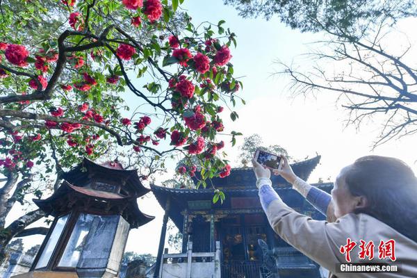 算力概念股体现活泼 元道通讯、智微智能、海南华铁涨停