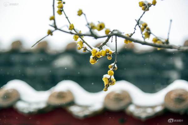 【每日大赛最新】螃蟹绿色的膏可以吃吗