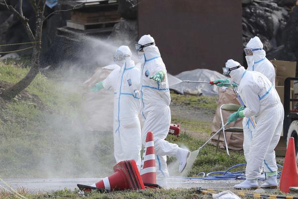 【今日吃瓜网51吃瓜网】勇敢猪猪不怕困难是什么梗