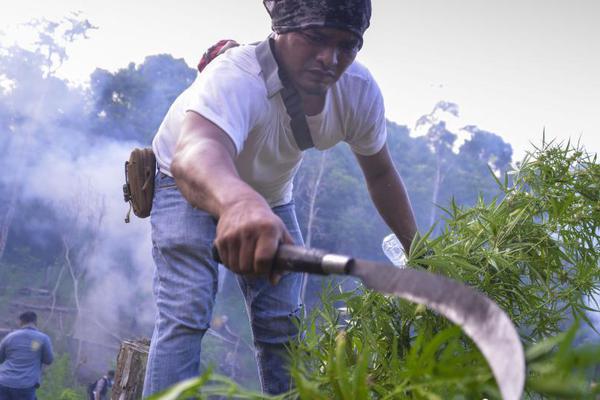 【91黑料网】美国8个州遭受40多起龙卷风 致31人逝世