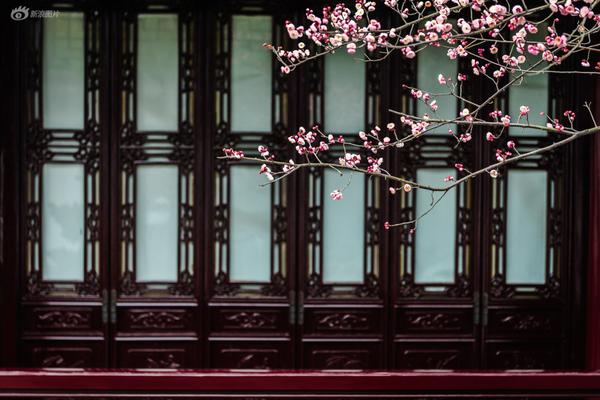 西南财经大学迎来100周年校庆