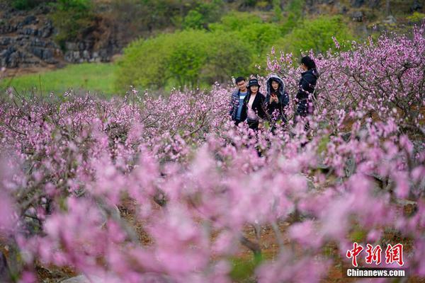 【网爆黑料稀缺】世界金价回落+节日促销 有品牌首饰金报价重返“8字头”