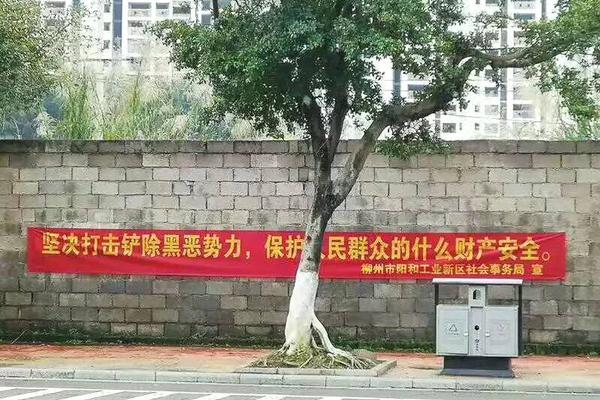 【51cgfun每日吃瓜必吃】强风暴突击美国南部和中西部 至少18人逝世、超20万户停电