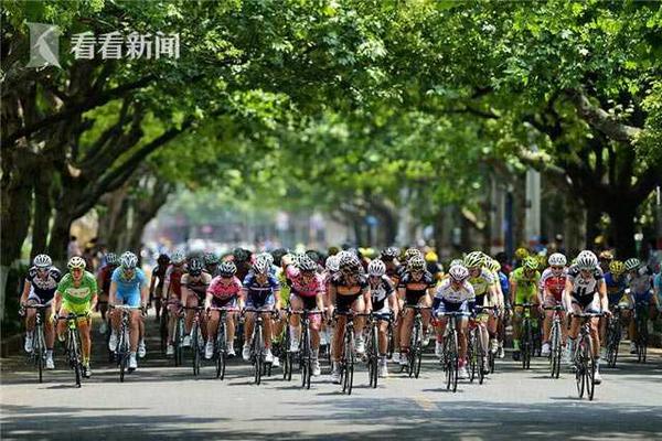 漳州古雷开发区：年产值超亿元 胡萝卜“红”出圈