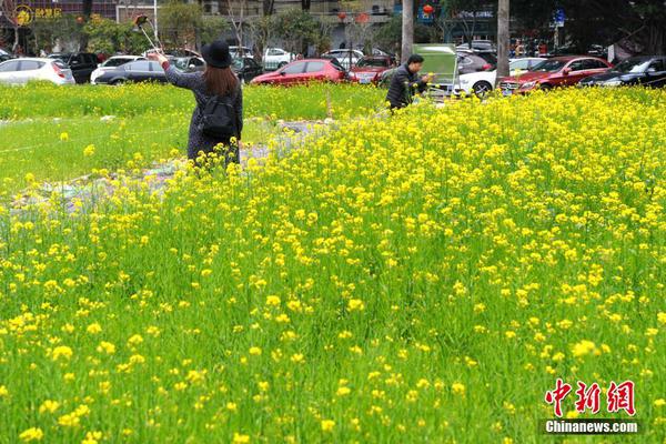春风日产N7大定超1万台 获职业首个防晕车认证