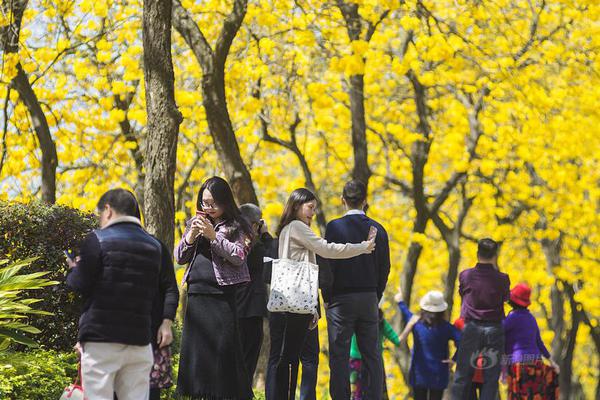 【zztt 黑料】东方财富网关于展开冲击整治“网络水军”专项举动的公告