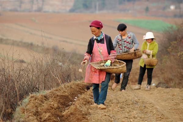 【17c吃瓜爆料免费吃瓜在线】崔东树：电动车才是最低本钱出行东西
