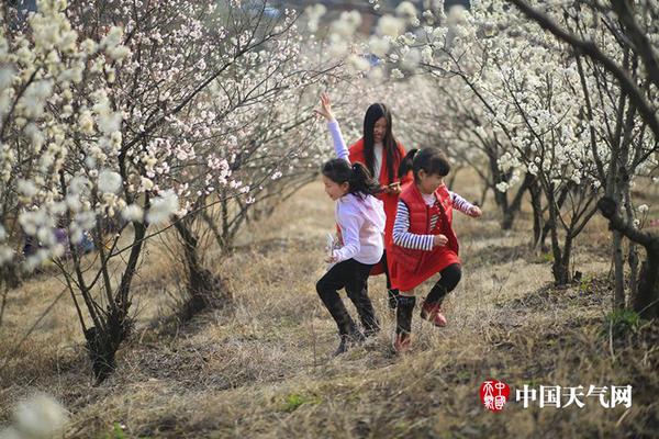 【黑料网吃瓜】在线“确诊”心思问题，靠谱吗