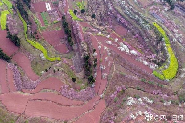 【吃瓜网入口】又是一年春耕时 福建东山鲍鱼苗畅销