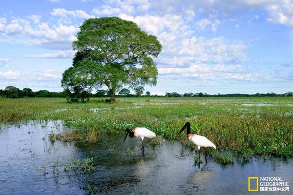 【吃瓜黑料视频永久地址】我国最大的新疆耐盐碱微生物资源库创立