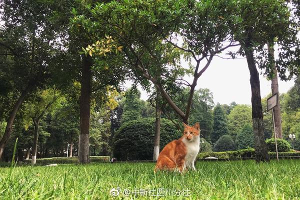 【51吃瓜网 热心】4月10日人民币兑美元中心价下调26个基点