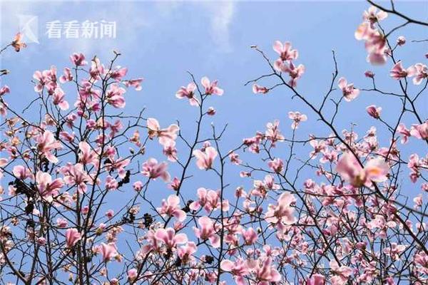 电饭锅预约2小时是2小时后开始煮吗