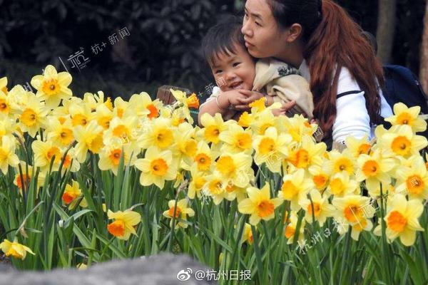 小小鲁班锁为县域富民工业添生机