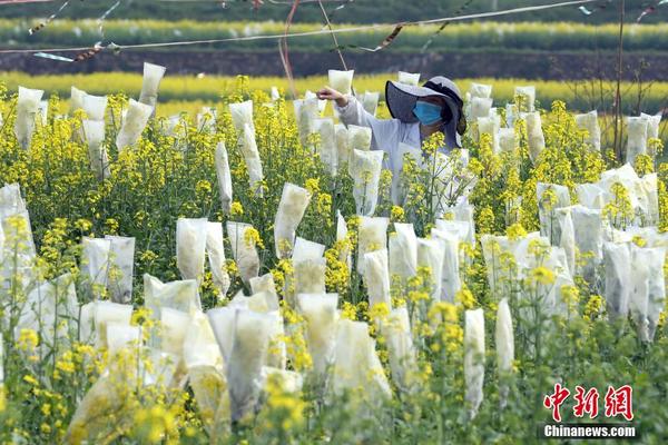 废光伏设备收回处理拟出台国家标准 专家：将有力促进组件收回职业的正规化开展