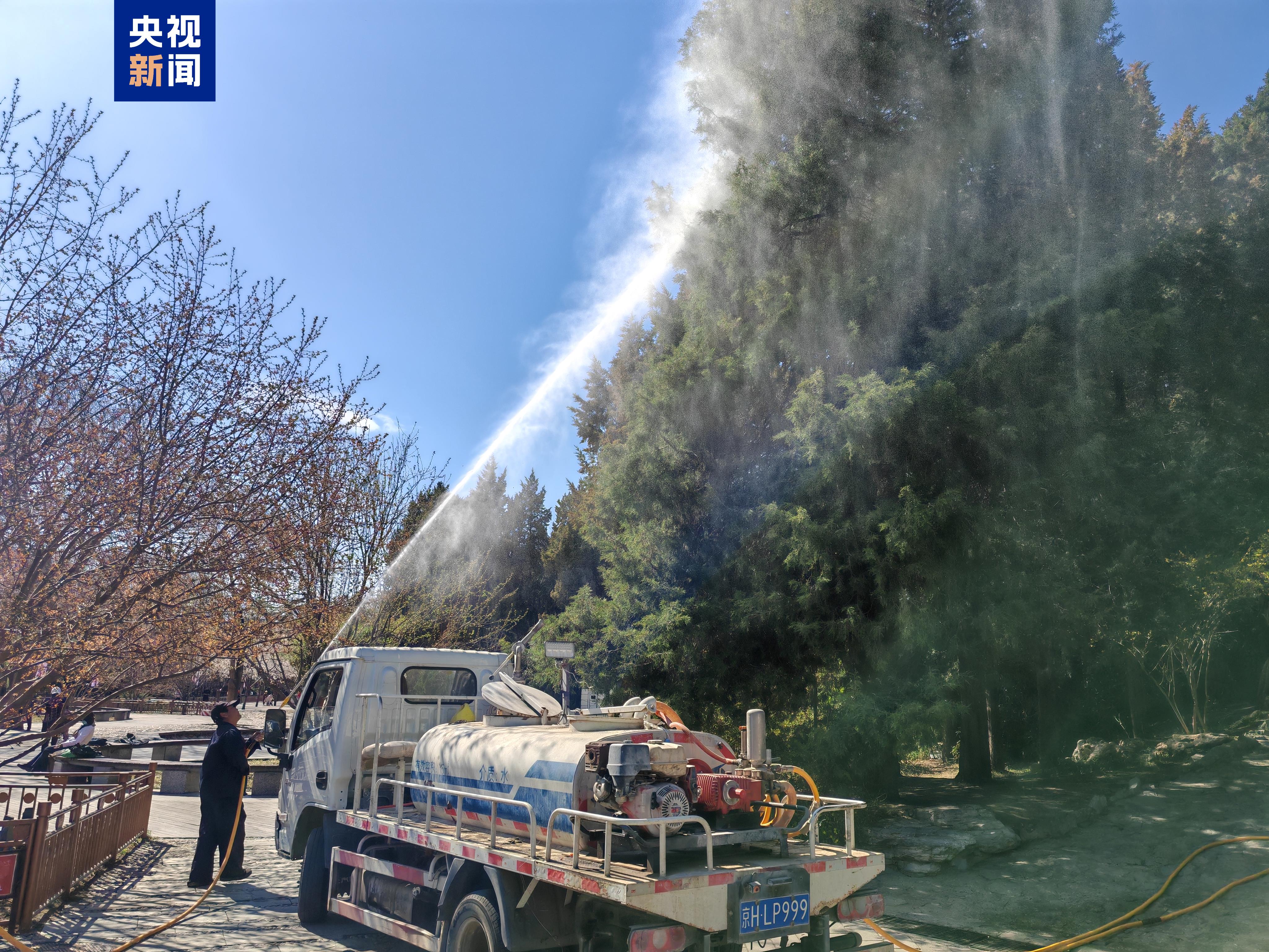 花粉过敏高发 北京的树每天要“冲3遍澡”