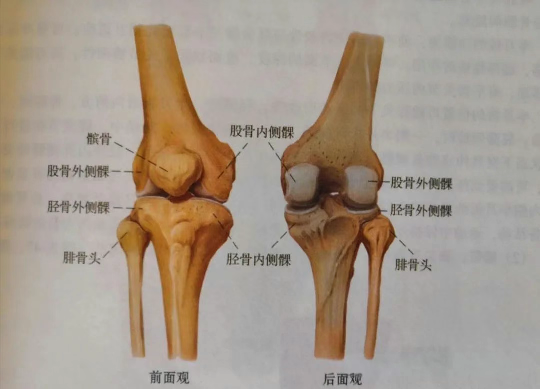 走路膝盖忽然“软”一下？或许是这些疾病的信号
