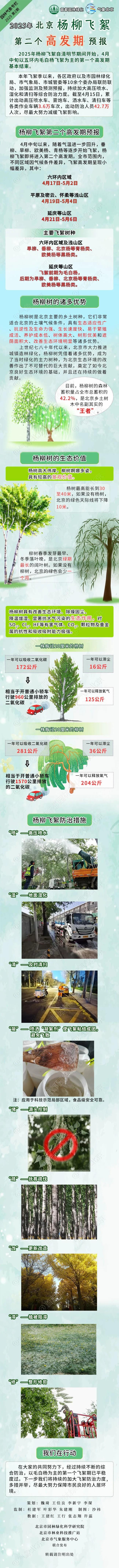 气温上升 北京柳树飞絮行将进入第二个高发期