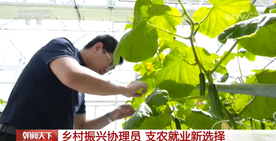 大学生底层工作 优惠办法来助力