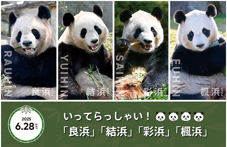 回想宝贵回想 超三千人齐聚日本和歌山县欢迎旅日大熊猫