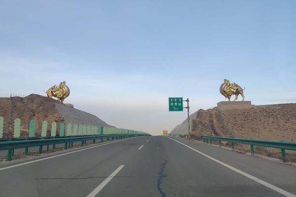 【黑网吃瓜料网】中医药高质量出海怎么做？这家公司正打造名医“AI兼顾”