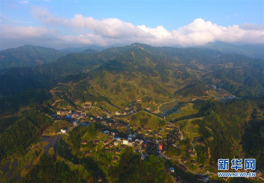 华为、宇树科技、灵伴科技等将携新款智能手机、人形机器人等产品亮相消博会
