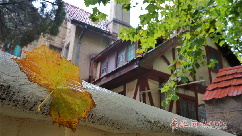 银河证券：油价估计重回震动 重视生长特点标的