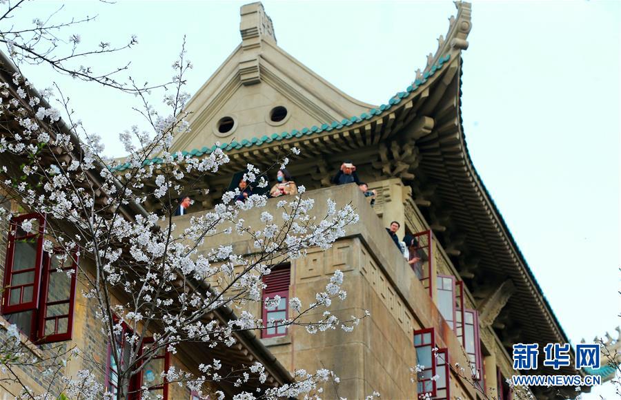【国产吃瓜黑料泄密一区二区在线观看】斑鸠哥是什么梗