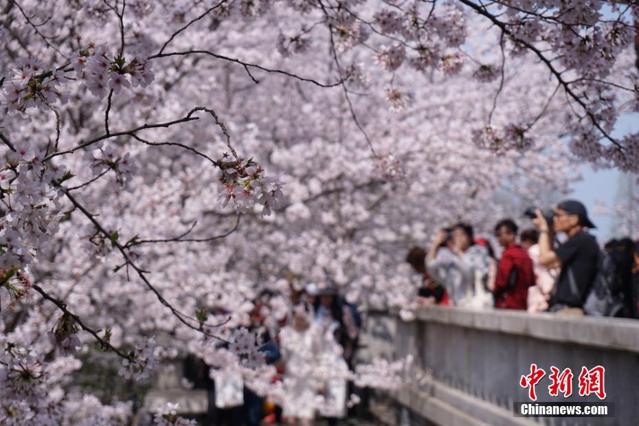 【91吃瓜黑料在线观看】生酮饮食、艺考生瘦身办法 这些网红瘦身办法靠谱吗？