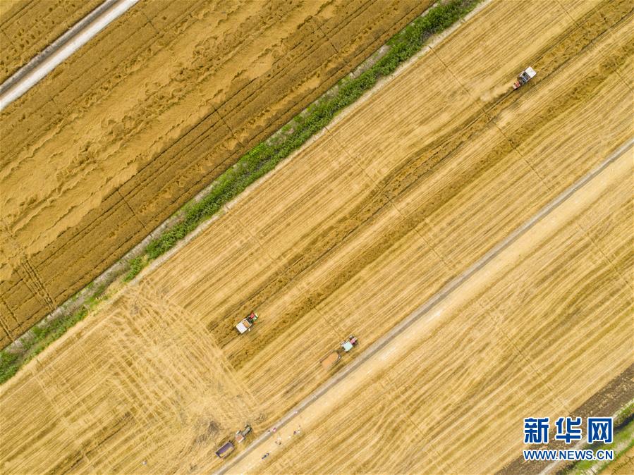 3月普通车增量目标摇号活动成功装备目标3334个