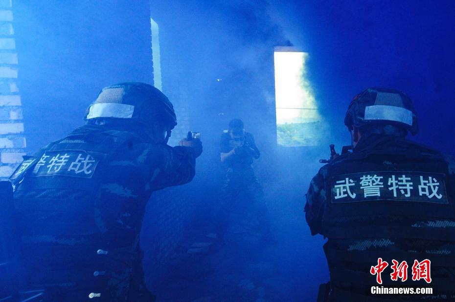 【黑料吃瓜最新官网地址:zztt.win】吃乌头鱼有什么营养价值
