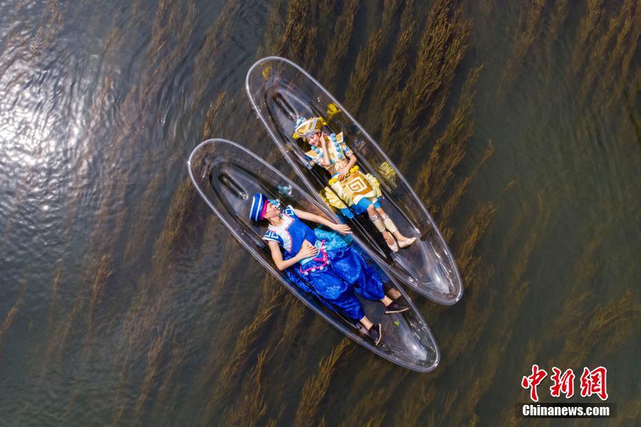 【51在线吃瓜网】又是一年春耕时 福建东山鲍鱼苗畅销