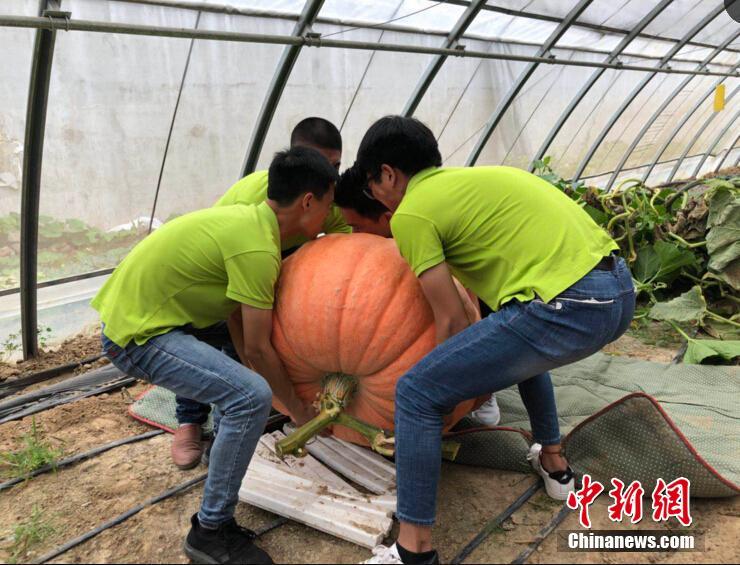 【51cg1吃瓜群众黑料在线观看免费版】百亿级私募进场“扫货” 加码创新药与互联网ETF
