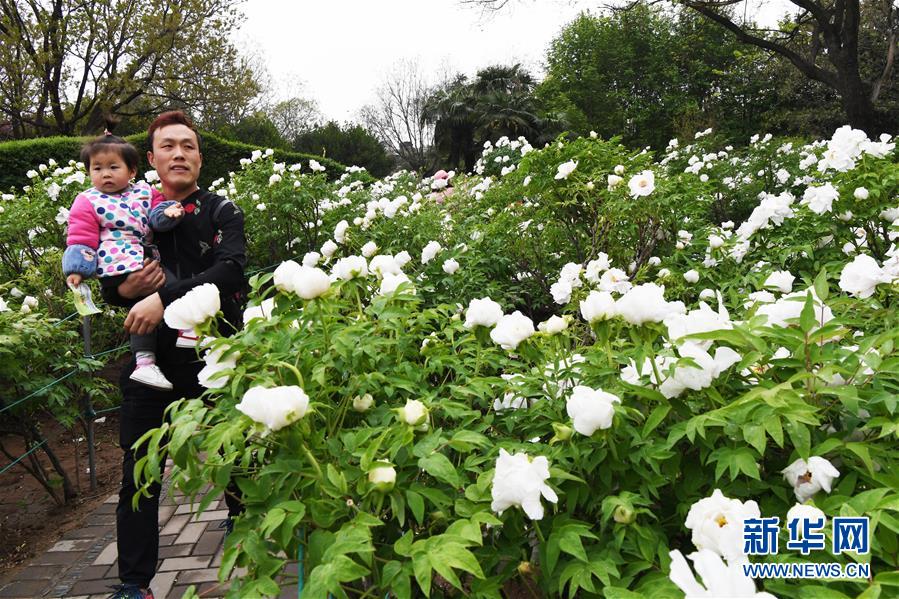 【吃瓜网红黑料吃瓜网站】两个油田诞生！我国东部新增1.8亿吨页岩油储量