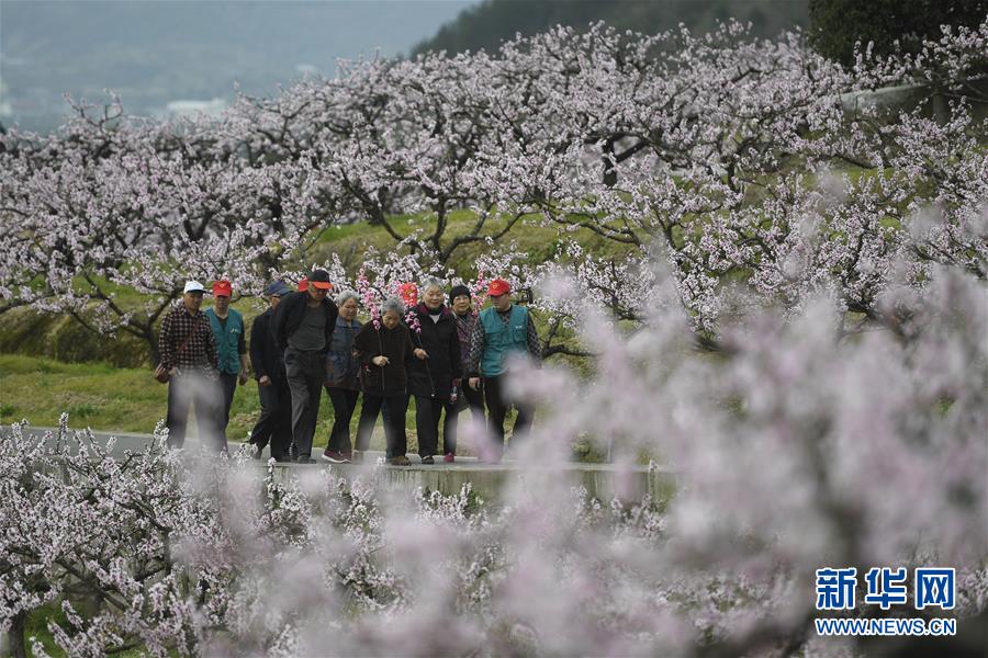 海关总署：一季度我国对共建“一带一路”国家的进出口额同比增加2.2%