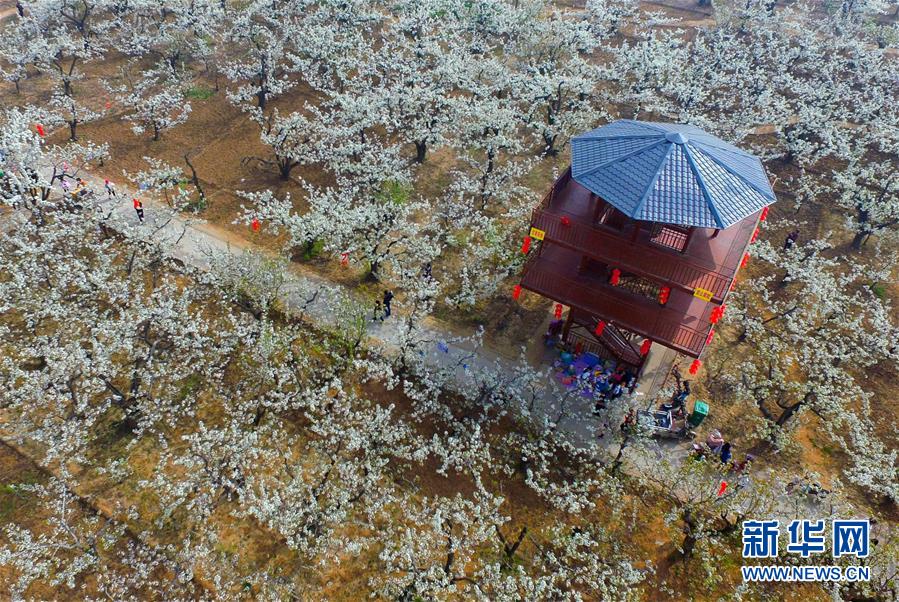 春季首发上新升温激活消费市场新潜力