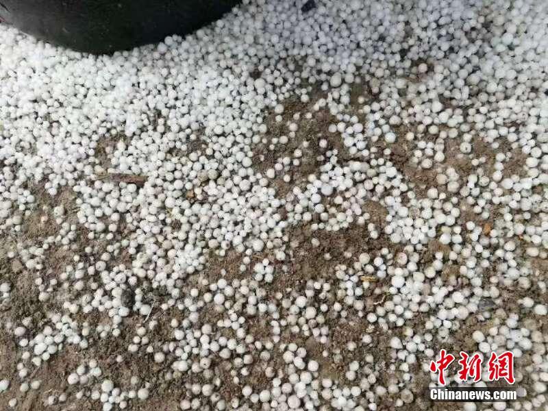 【91爆料免费吃瓜爆料在线看】沈白高铁进入静态检验阶段