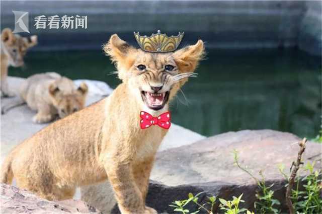 弹劾案经过 韩国总统尹锡悦被免除