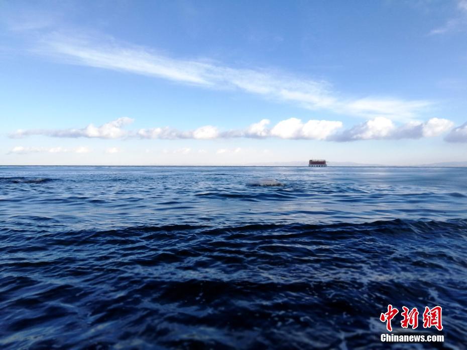 怎么样提高新陈代谢