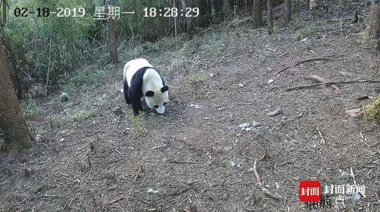 饿了么发布优店腾跃方案 面向商家投入超10亿元