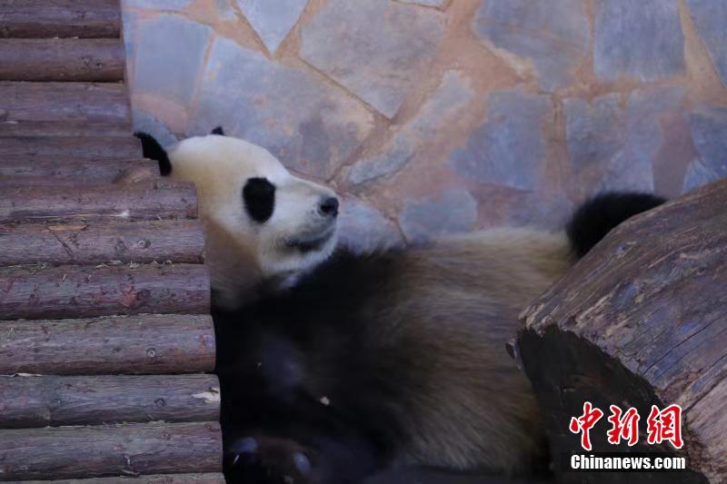 羊肉放冰箱冷藏可以保存多久