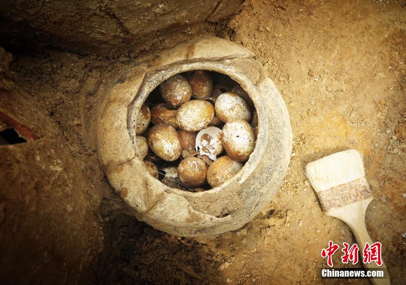 【黑料不打烊吃瓜爆料反差婊】生生公益慈悲信任在京建立