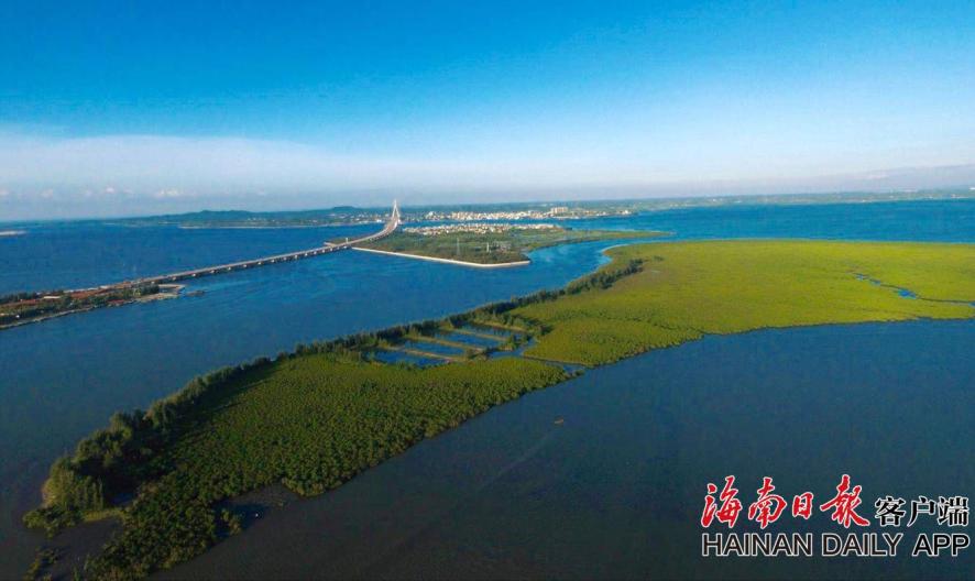 海南检察机关依法对李轻轻涉嫌受贿案提起公诉