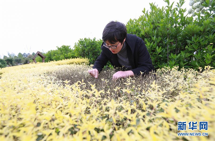 【热门大瓜每日必吃大瓜】券商春季战略会最新研判： A股行情可期 看多科技立异范畴