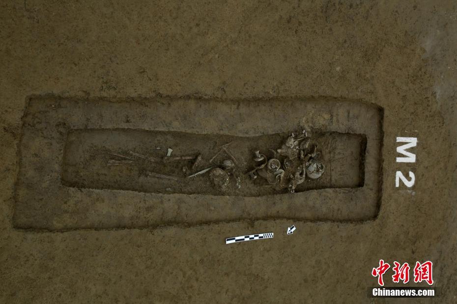 【91黑料在线】猪蹄汤怎么做