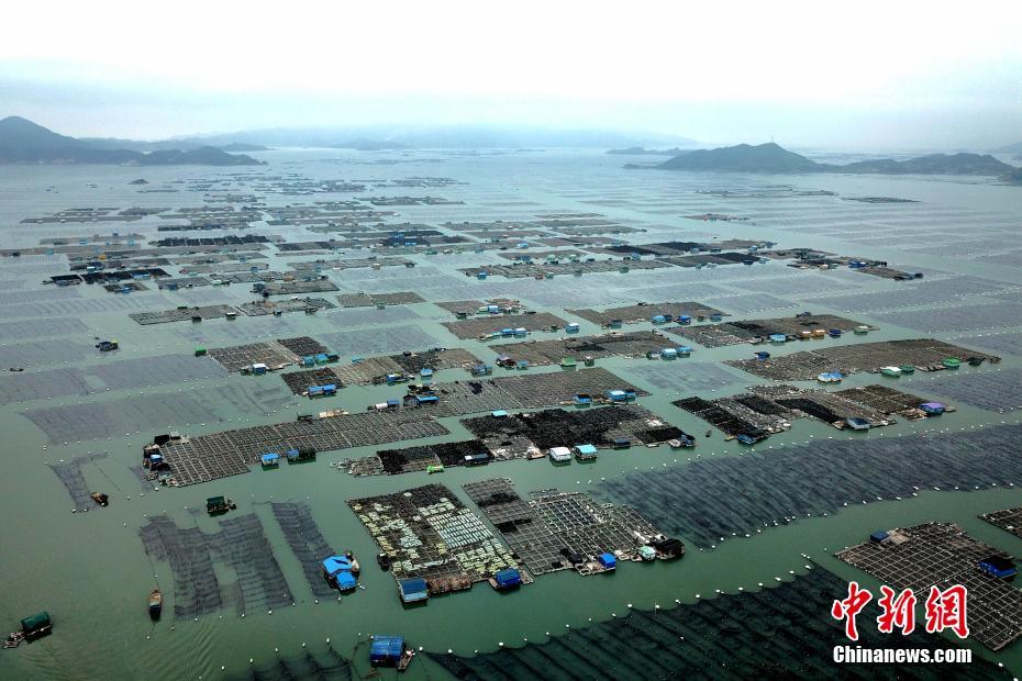 【热门大瓜每日必吃大瓜】券商春季战略会最新研判： A股行情可期 看多科技立异范畴
