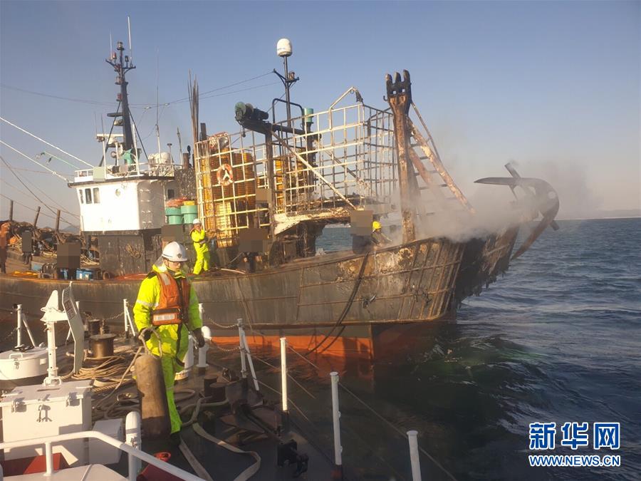 【吃瓜黑料今日吃瓜911】跨过3000多公里，他们从雪域高原来到东海之滨
